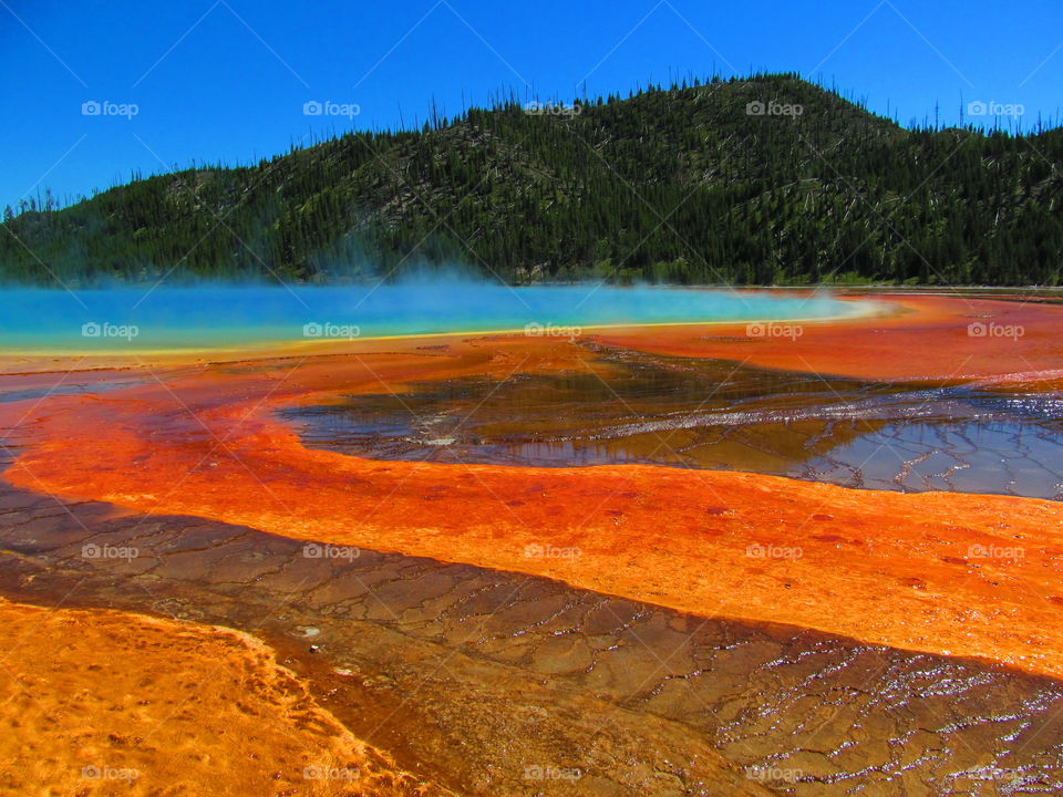 grand prismatic spring