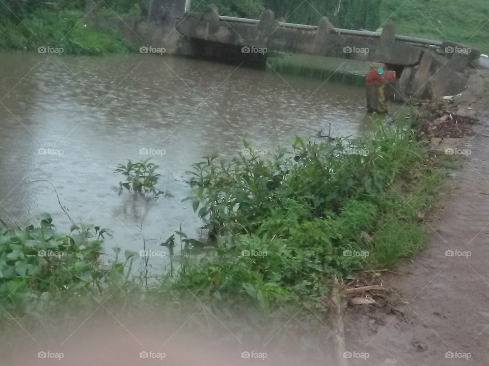 bridge side flooed