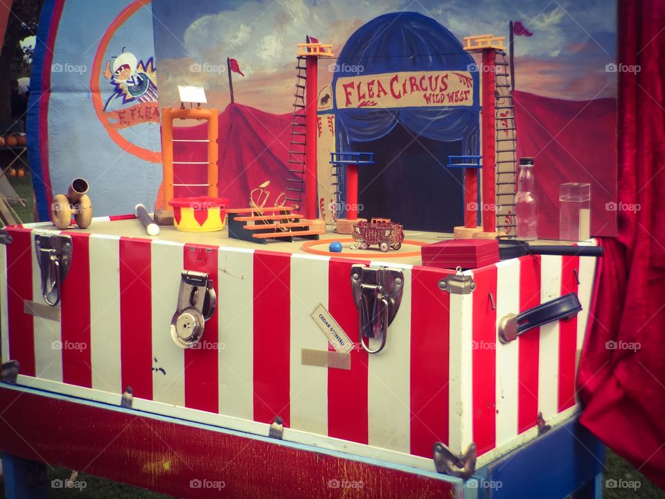 Flea Circus
