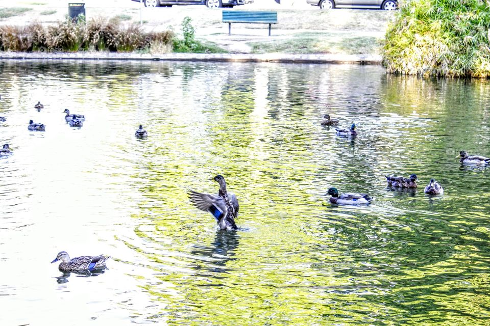 Water, Lake, Pool, Reflection, River