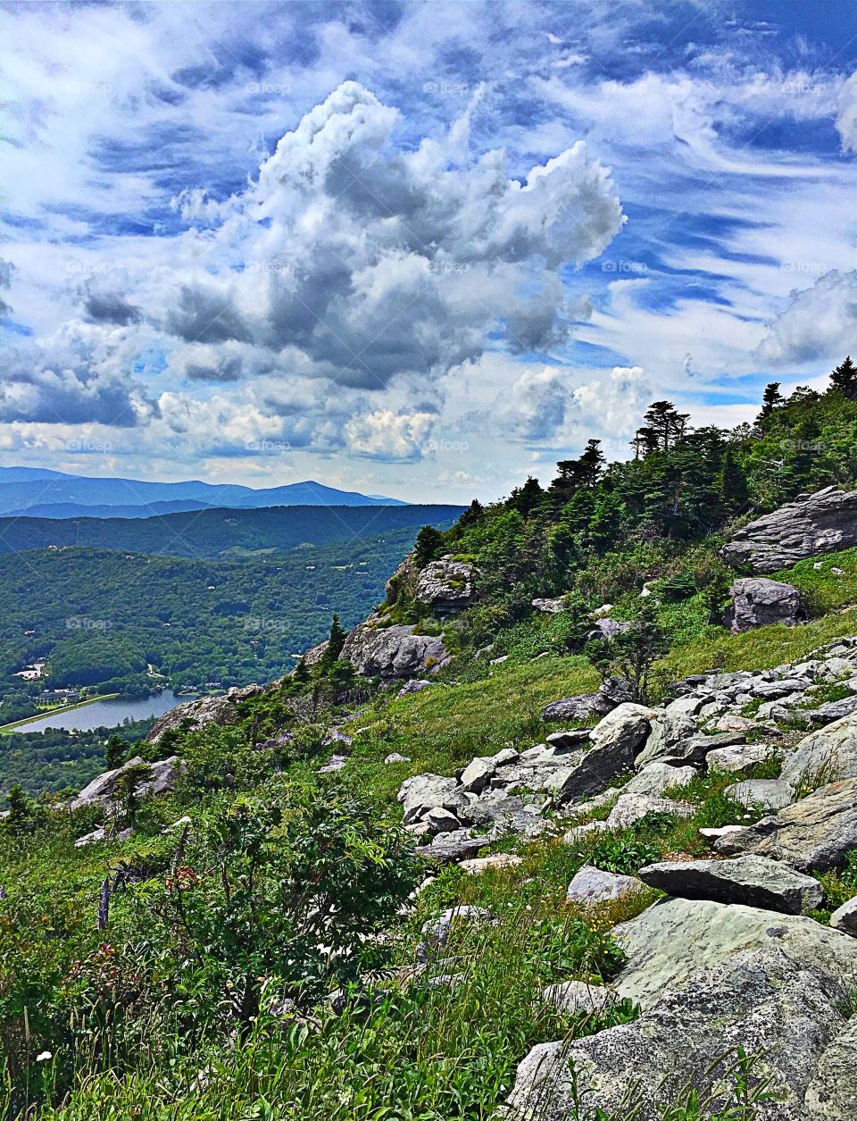 Scenic view of mountain in forest