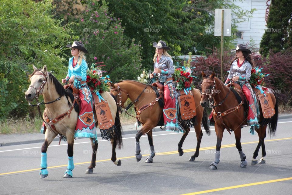 Horses Parade