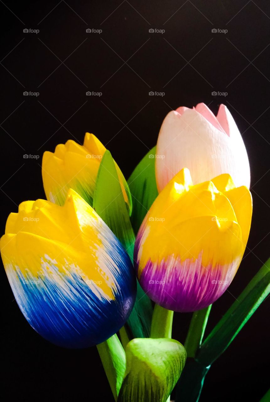 colourful tulips