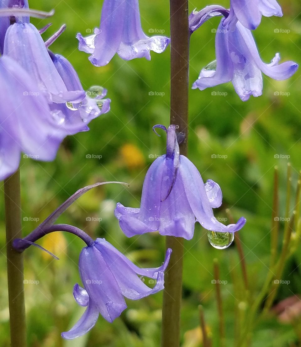 Beautiful Macro Shots