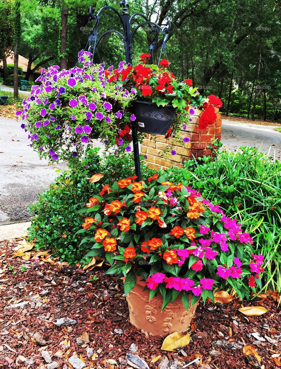 Hanging basket