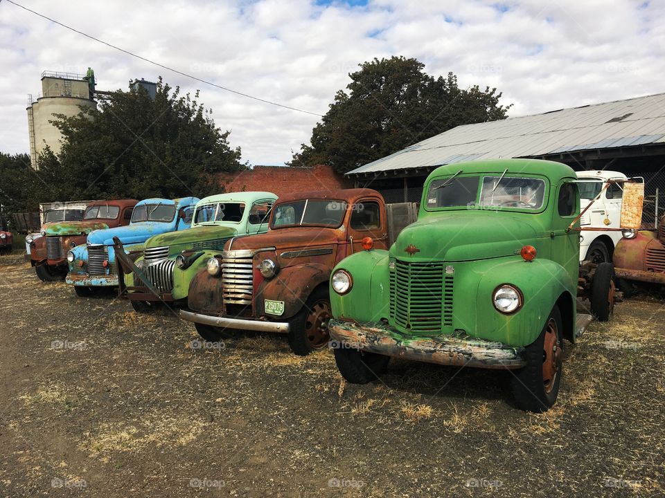 Old Dilapidation Vintage Trucks
