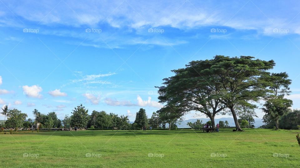 a green field inside the ratu boko archaelogical site, near Jogjakarta, Indonesia