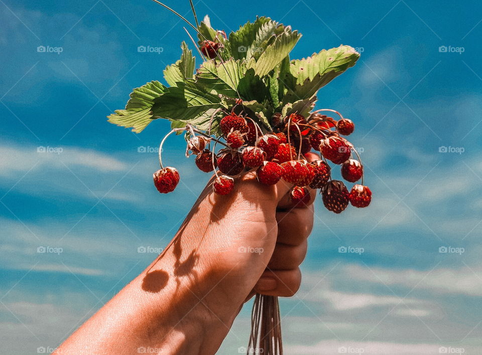 bouquet of wild strawberries