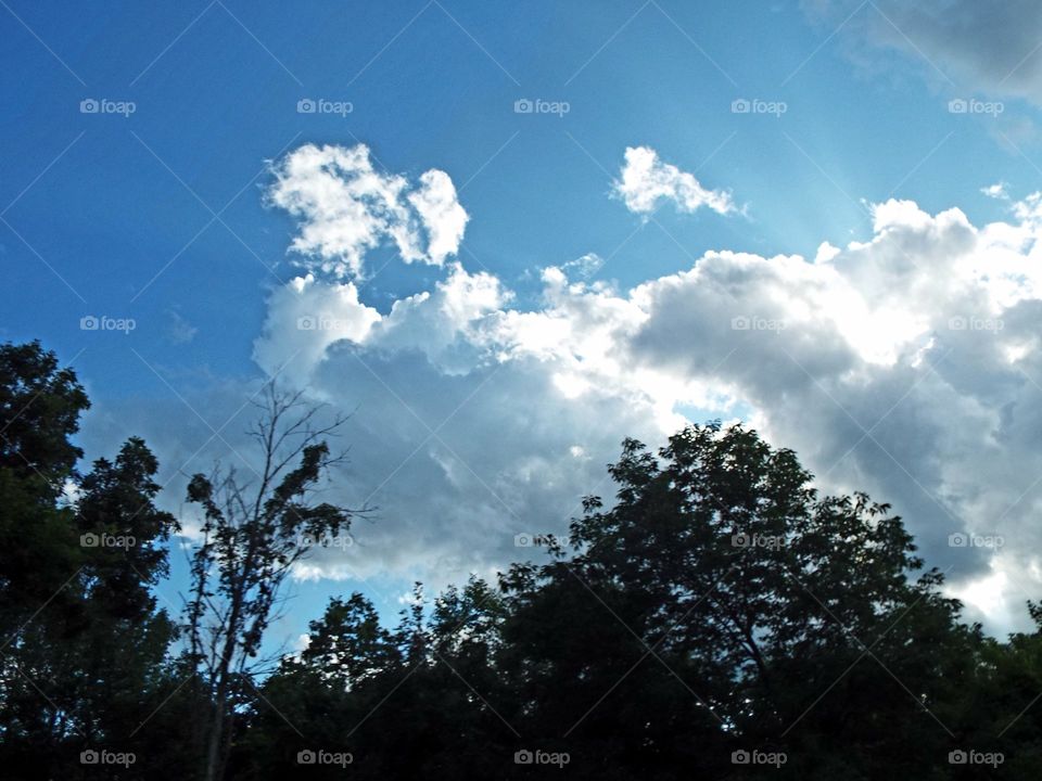 Clouds in the Sky way up High