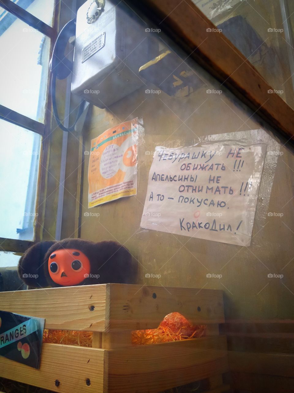 Telephone booth with a telephone and a wooden box in which Cheburashka sits in oranges