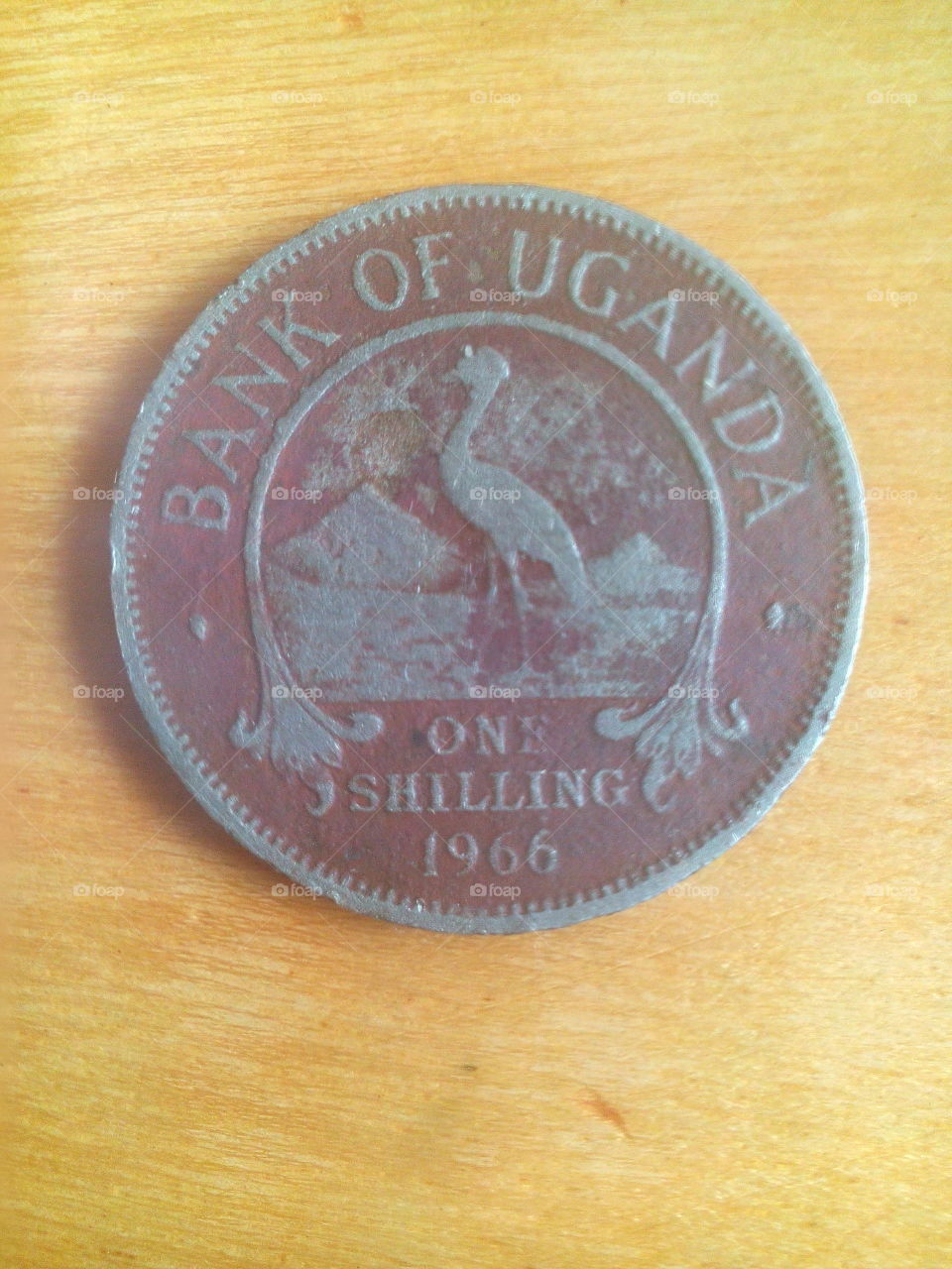 1966 Uganda one shilling
