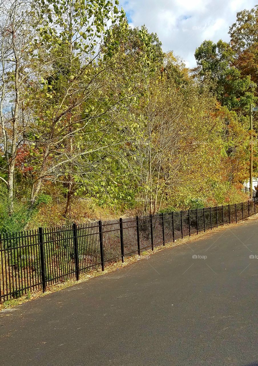 autumn color behind fence