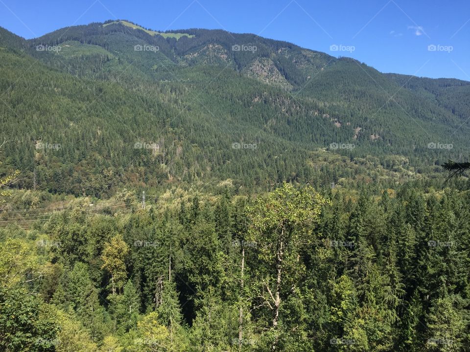 Wood, Mountain, Landscape, No Person, Nature