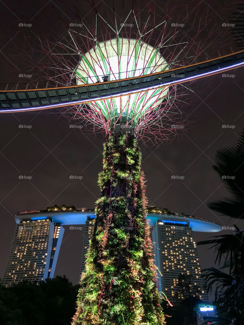 Supertree + Marina Bay Sands Combo