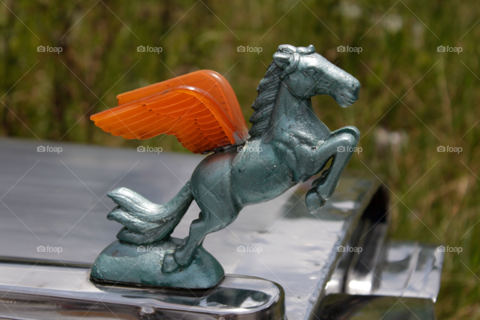 flying horse emblem pegasus by shotmaker