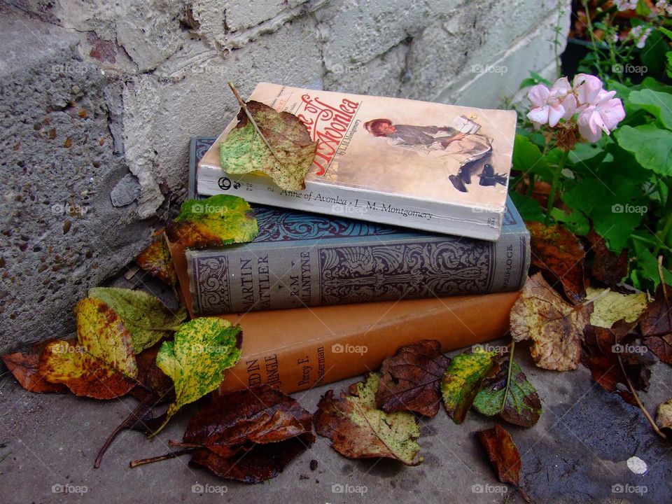 Books in Autumn
