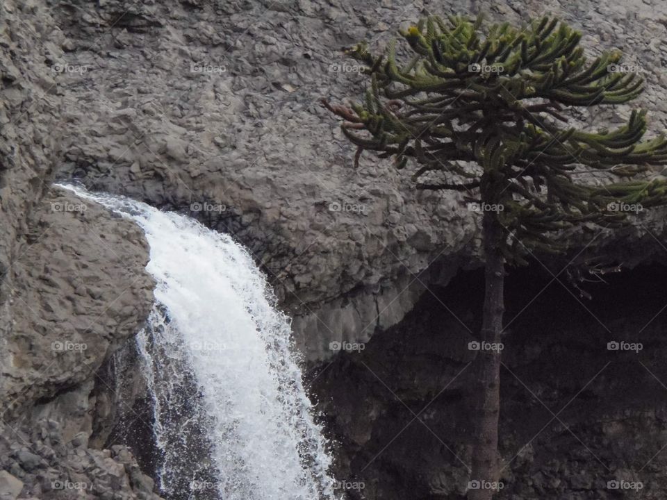 Waterfall-Patagonia Argentina
