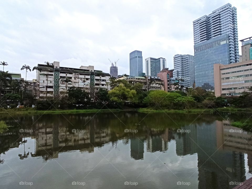 The reflection of an artificial wetland in the middle of the city.