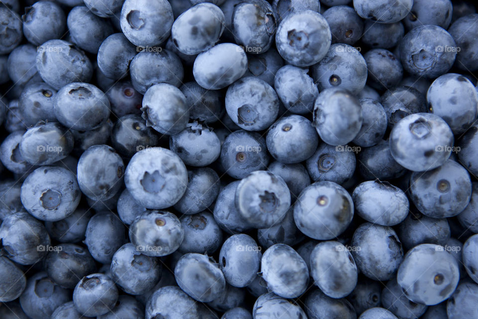 blue fruit healthy health by phat59
