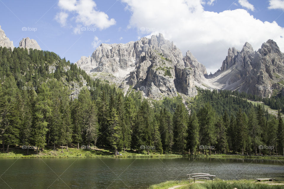 High angle view of nature