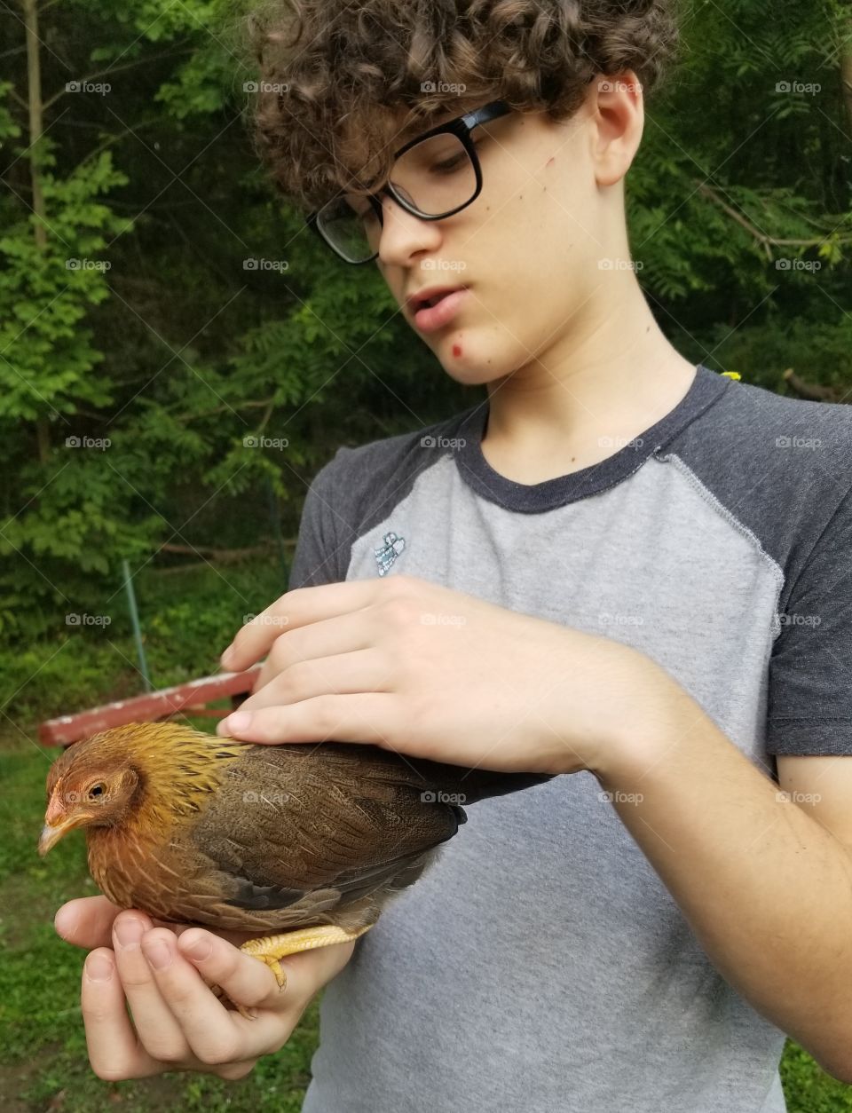 Friendly Chicken