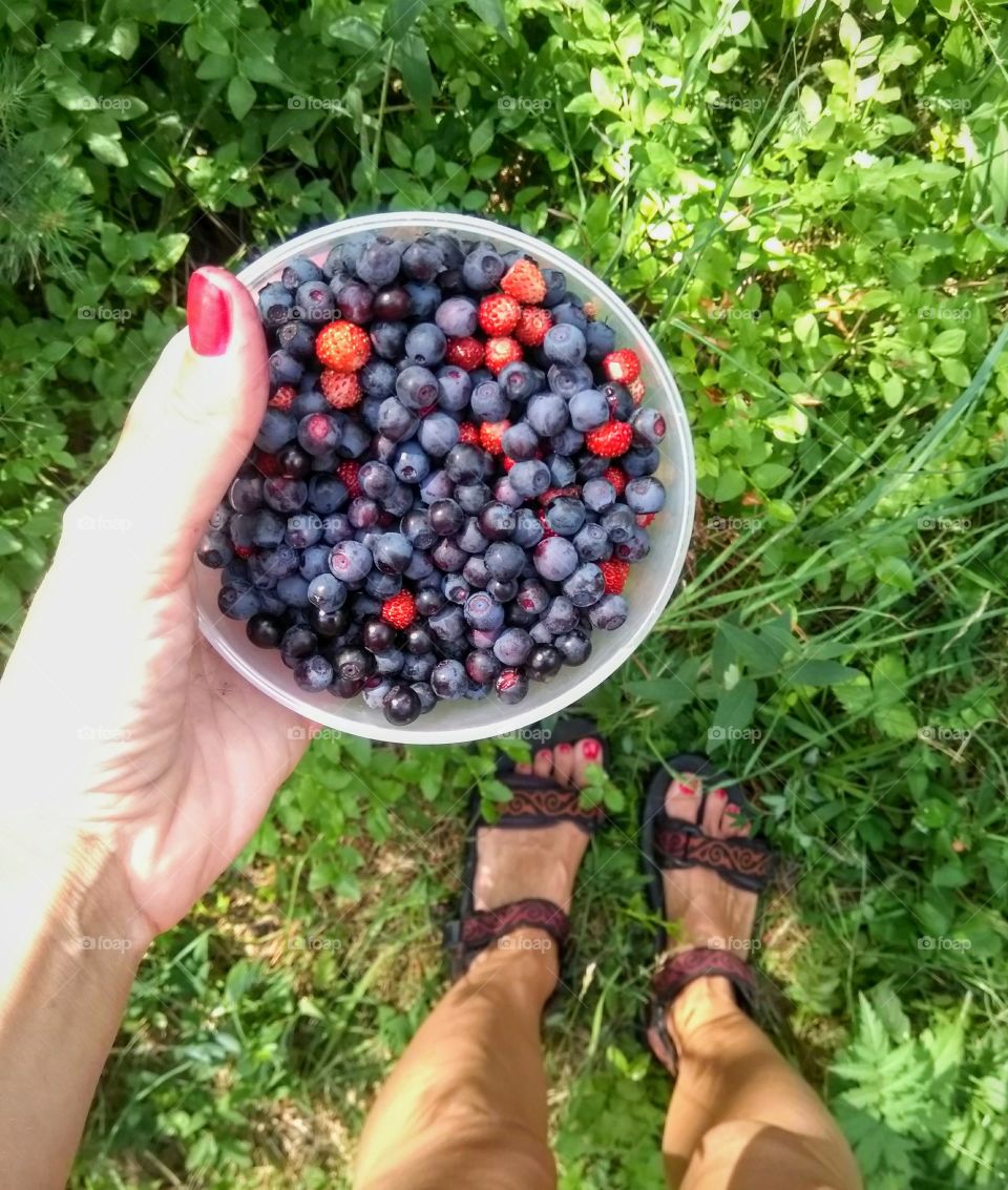 blueberries with wild strawberries in the hands collection in the forest top view