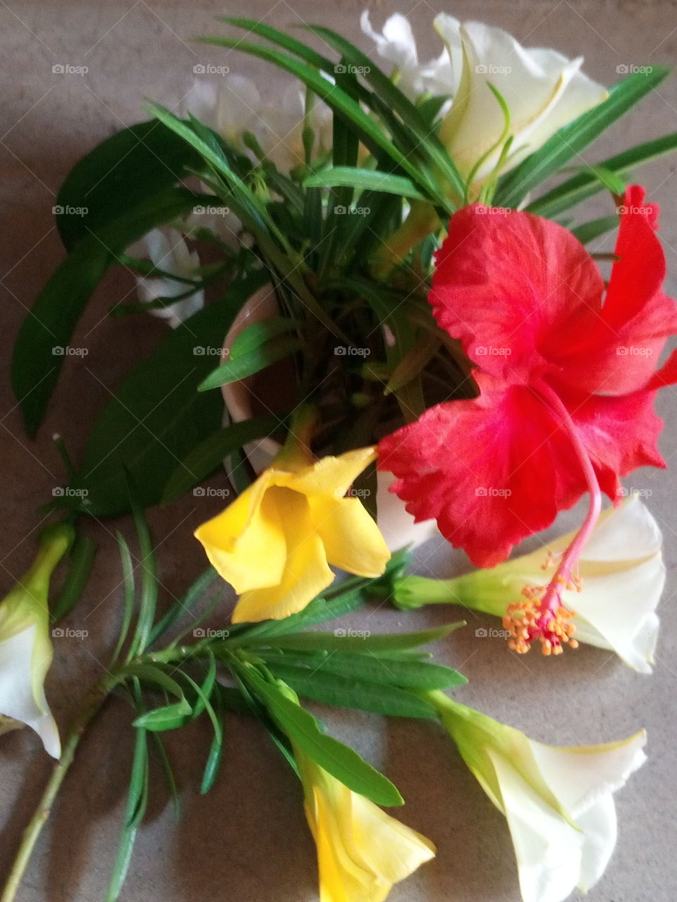 beautiful flowers object