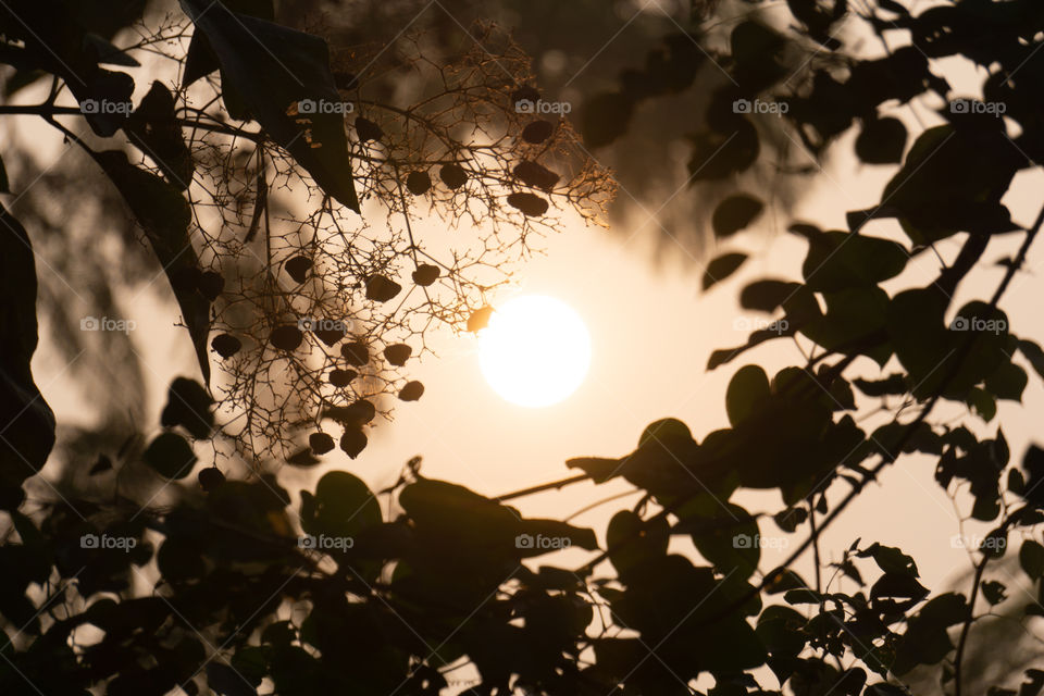 Nature is so beautifull capture it because every moment nature is changed