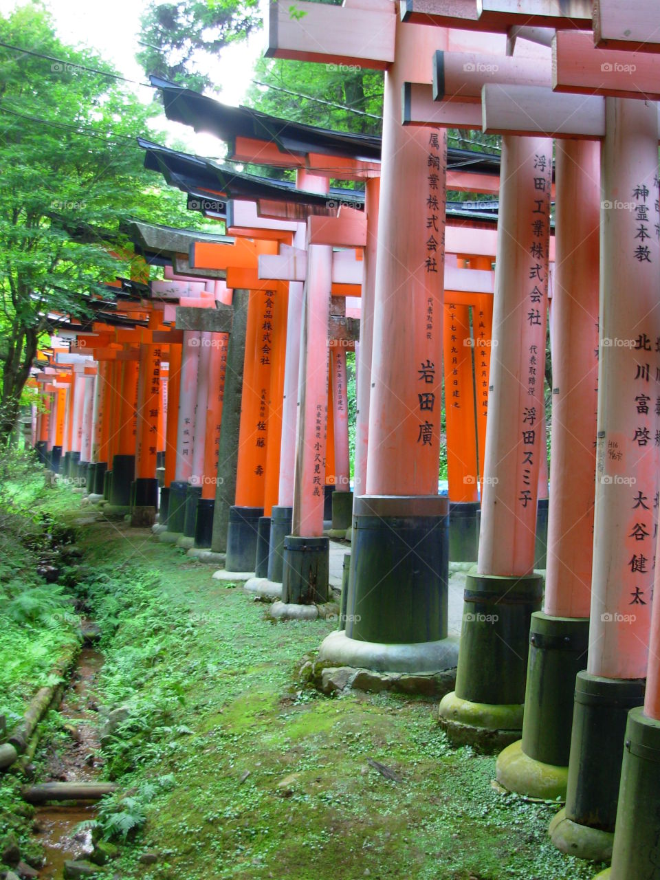 Gates from memoirs of a geisha in Kyoto