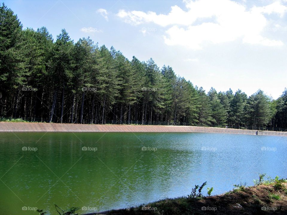 Lake in the national park Aspromonte