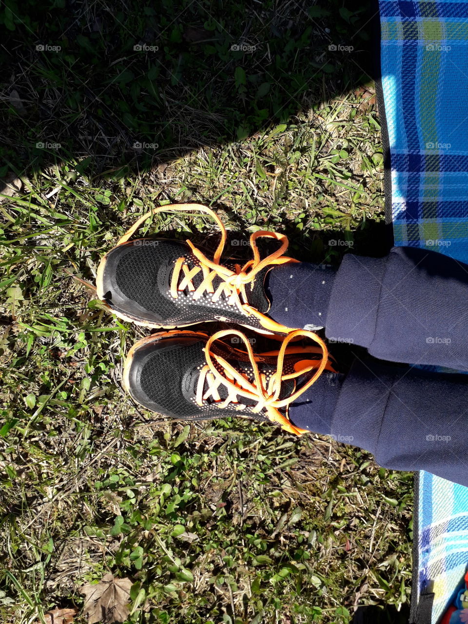 resting on the grass