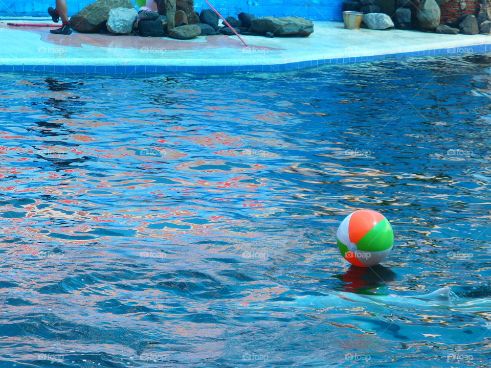 Swimming, Dug Out Pool, Water, Swimming Pool, Leisure