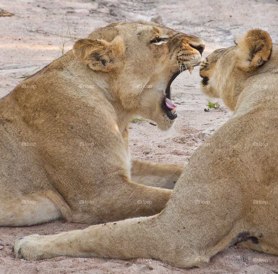 Let me take a look inside