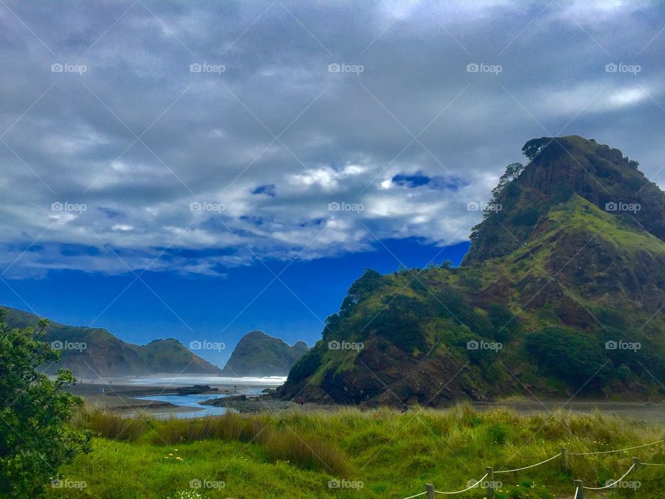 Piha Beach