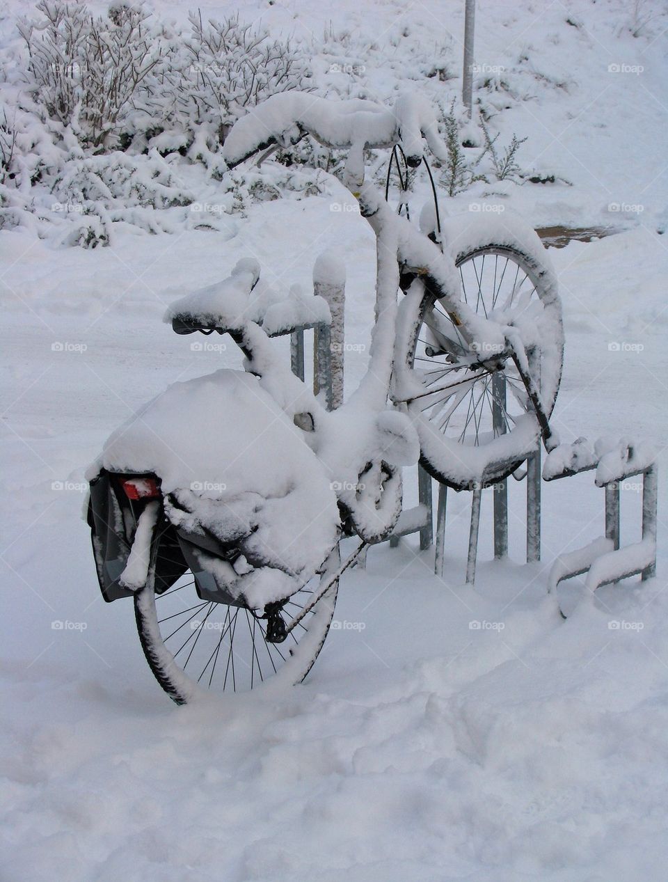 Bike covered in snow
