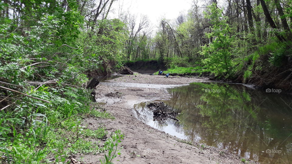 April Woodland Views