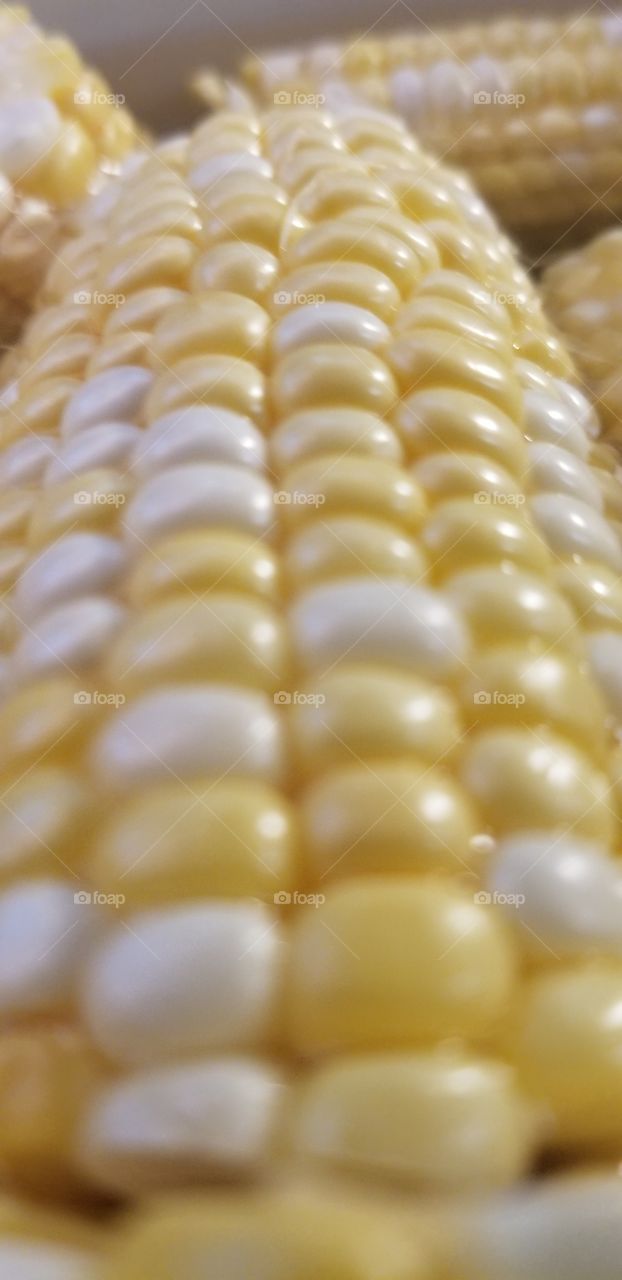 Corn.
