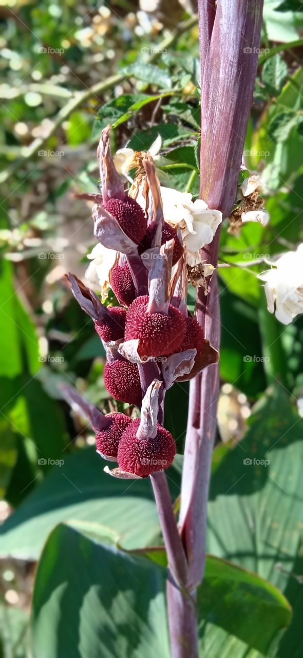 foco perfeito, com um belo senário