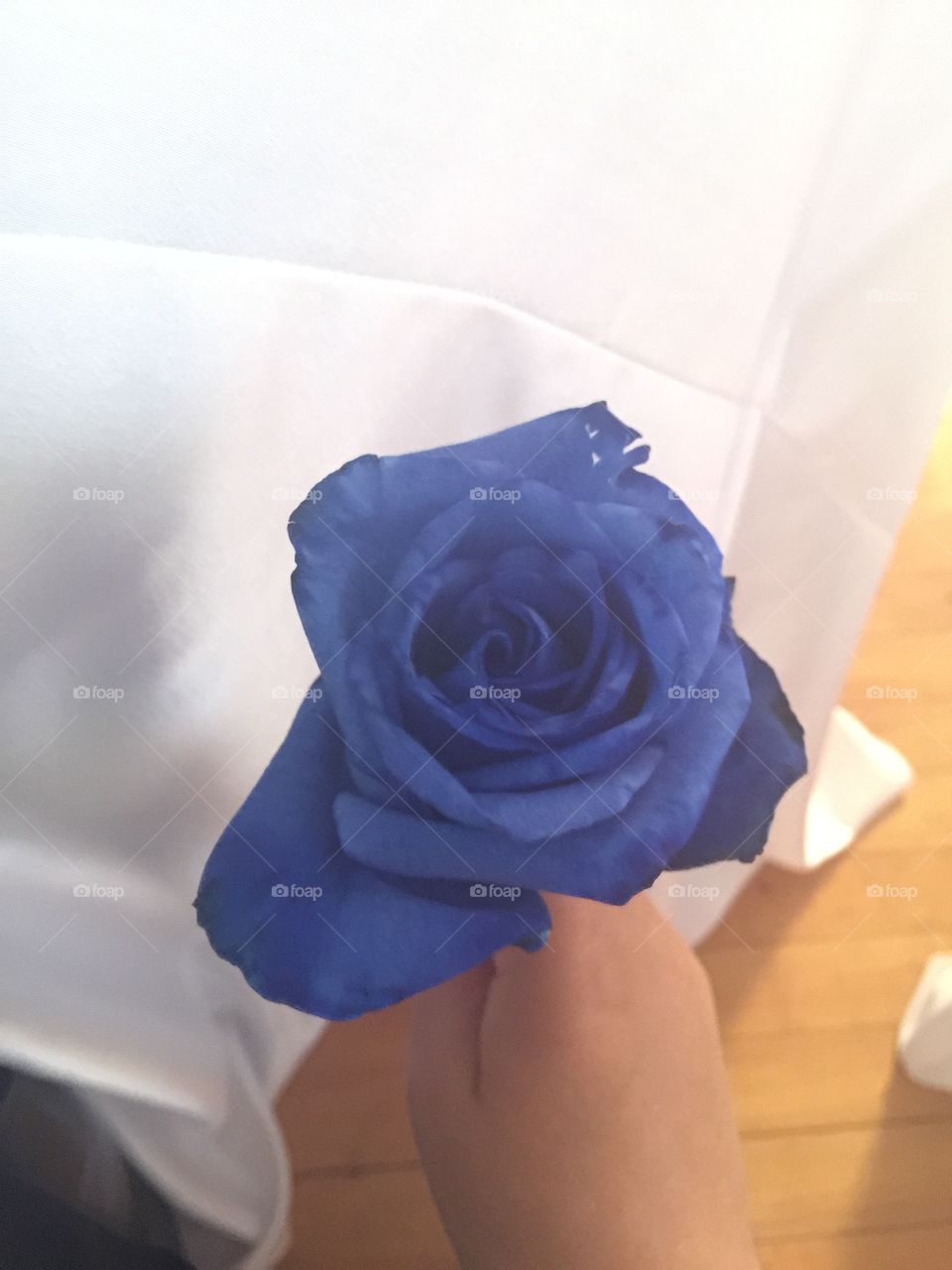 Blue rose