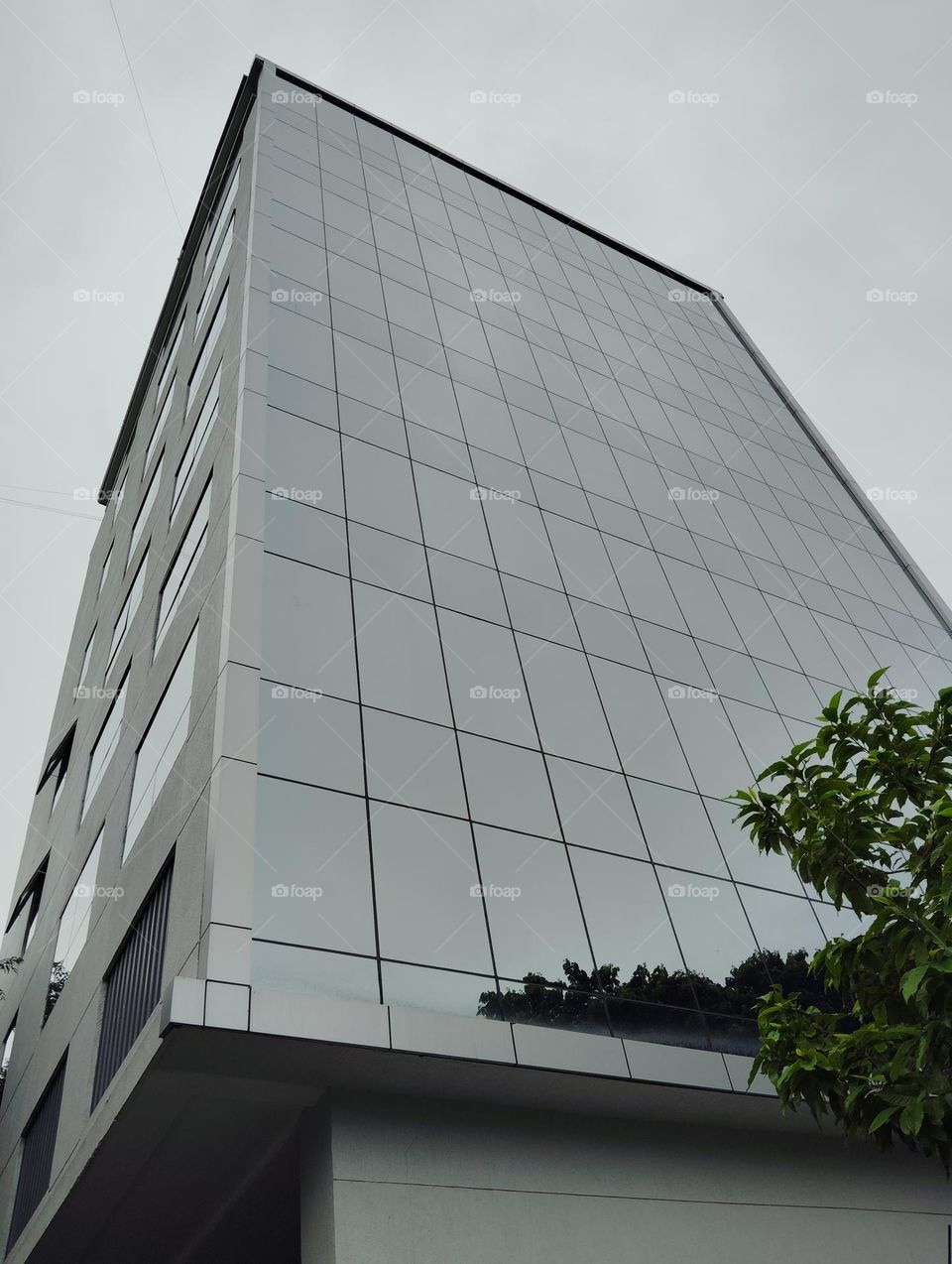 Structure of box building