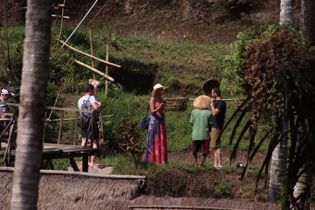 a terrace