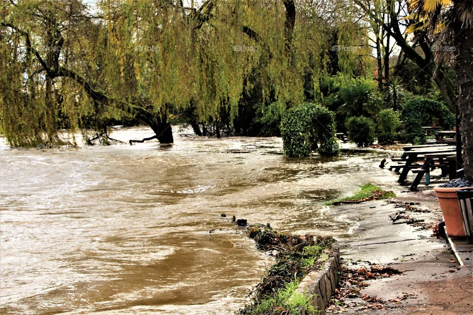 Flooded garden