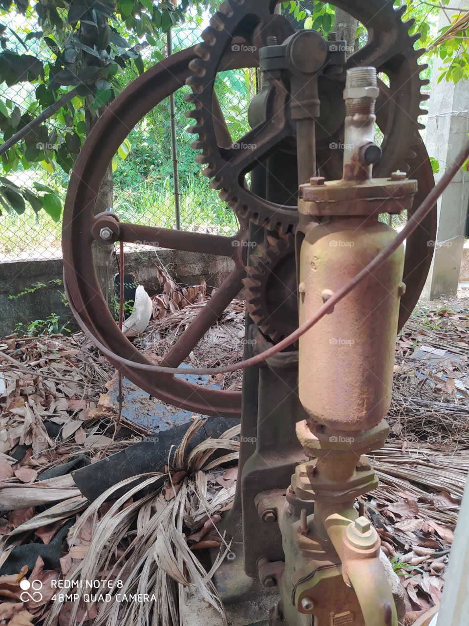antqu water pump