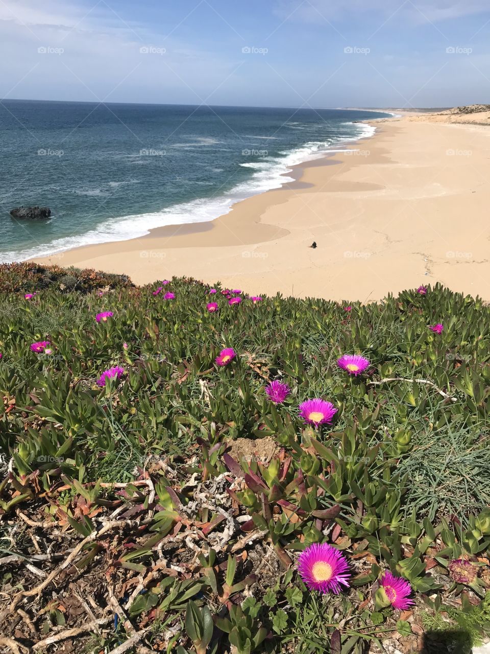 Costa do norte, canto mosqueiro, Sines, Portugal 🇵🇹
