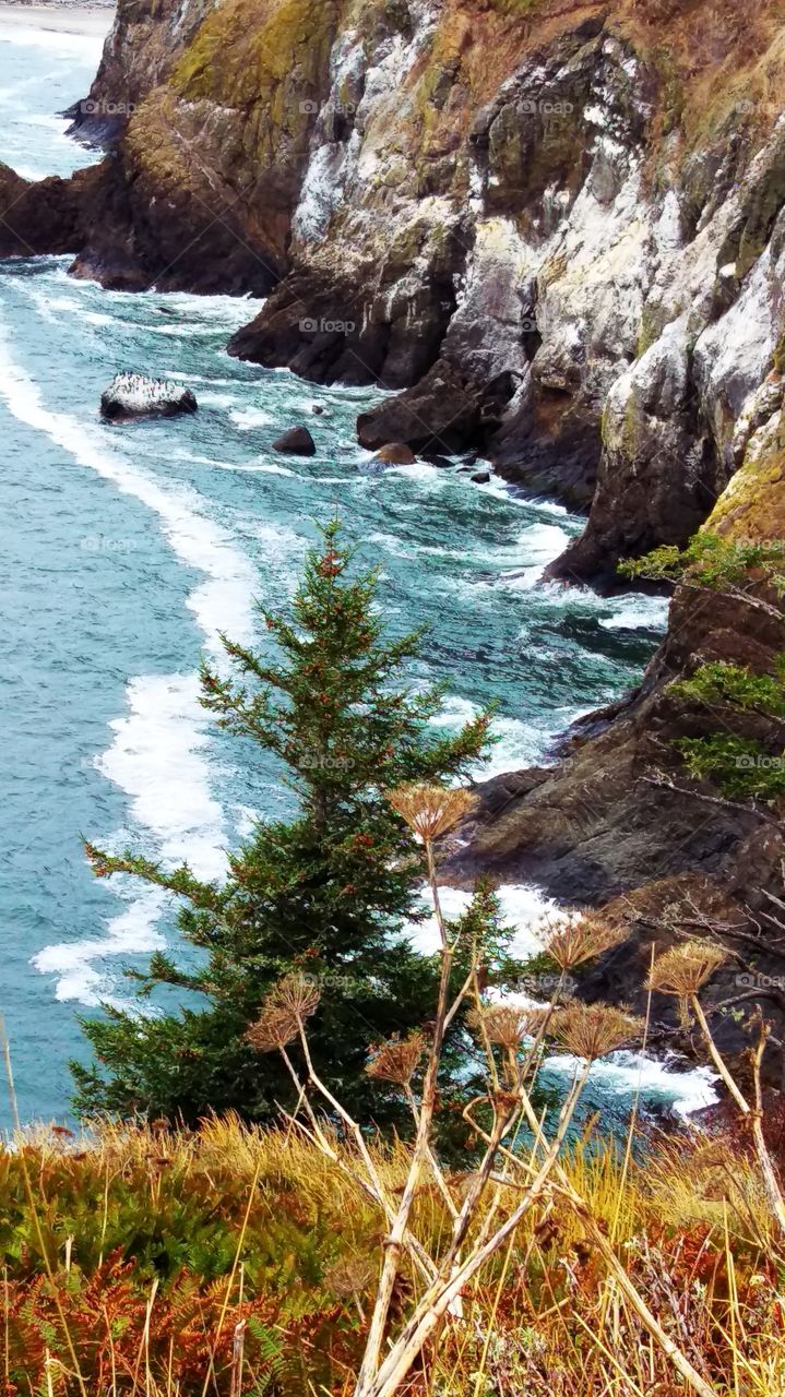 Surf at Cape Disappointment