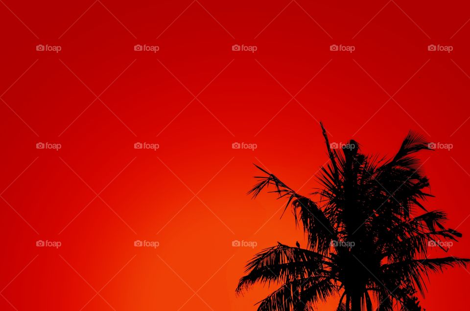 A bird perched on a tree branch