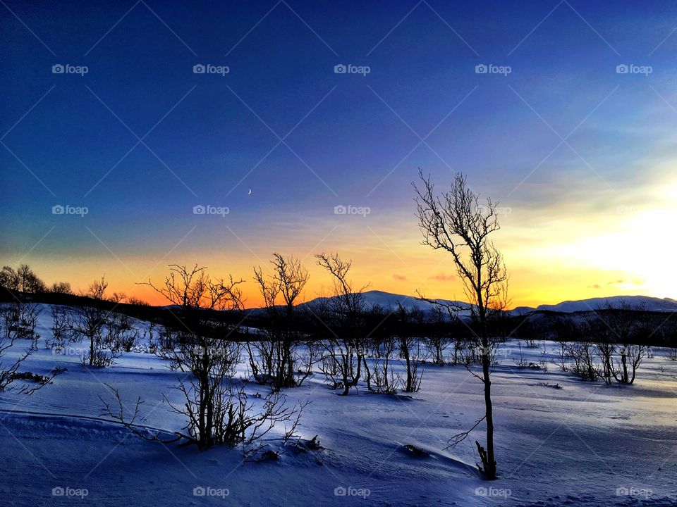 Sunset in winter landscape 