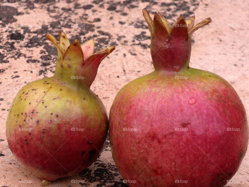 Frucht Krone
crown of fruit