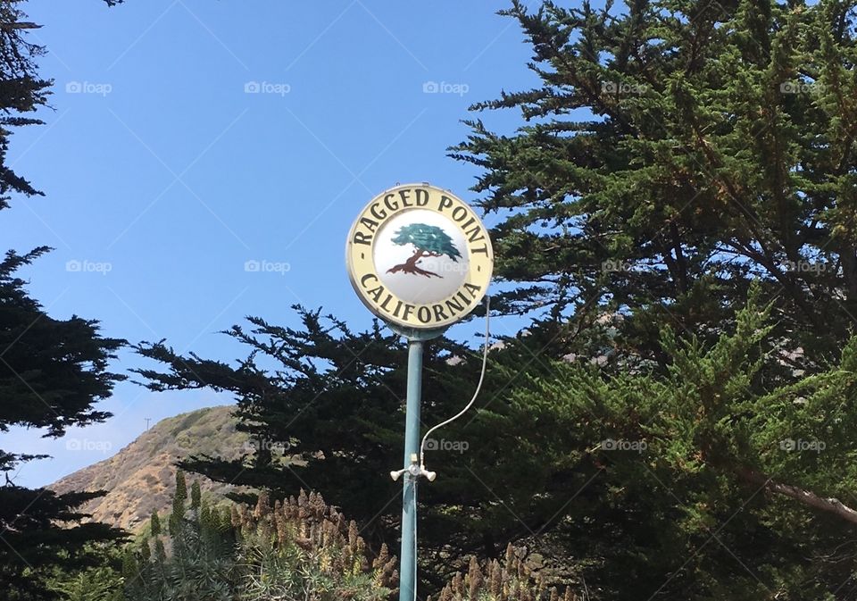 Ragged Point Big Sur