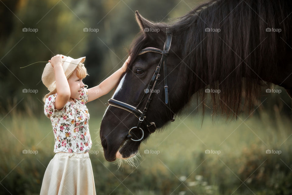 Little girl with shire horse at summer evening 